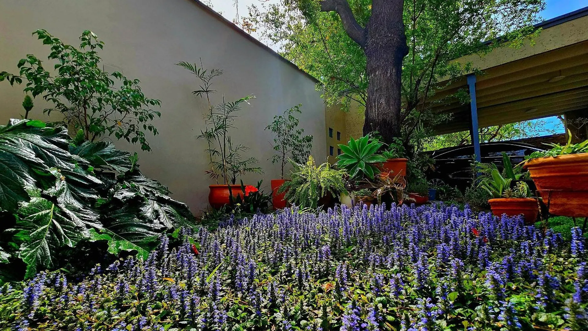 Buen Viaje Mendoza Bed & Breakfast