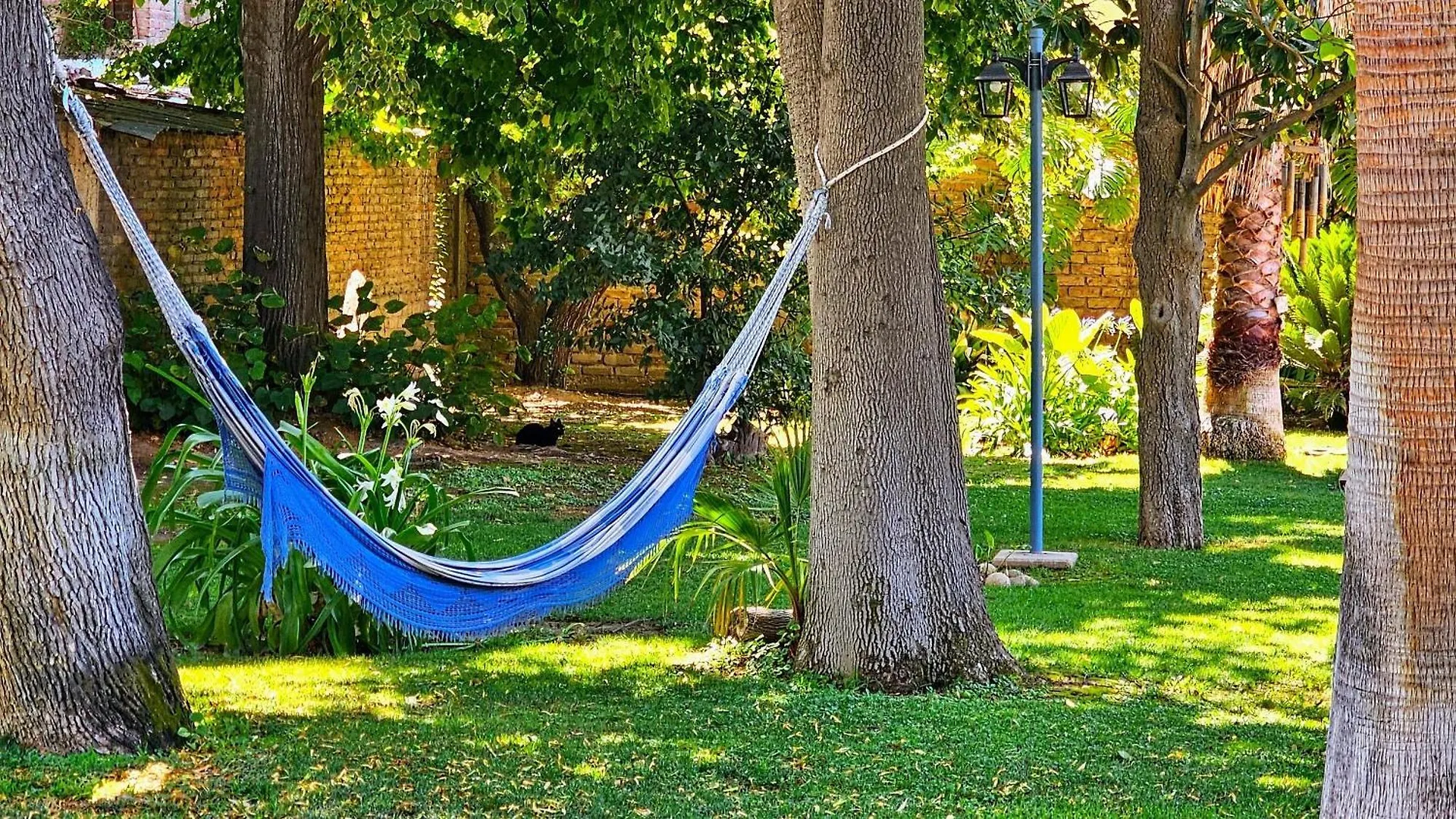 Bed and Breakfast Buen Viaje Mendoza